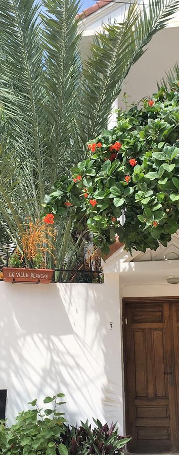 La Villa Blanche Dakar Exteriör bild